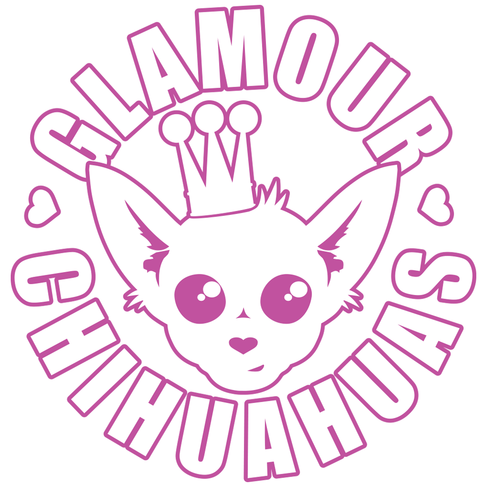Contact Glamour Chihuahuas for more information